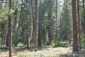 Open space on your property