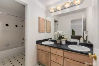 Lower Level Full Bath