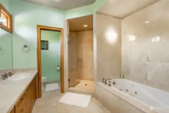 Jetted tub, large walk-in shower, double vanity and water closet