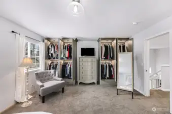 Primary Suite also has a large walk-in closet.