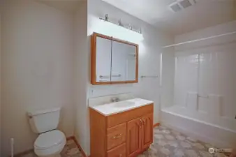 Lower floor full bath..