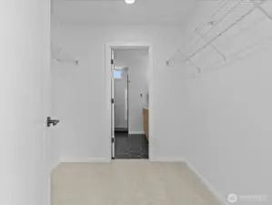 Sprawling walk-in closet leads to your private bathroom!