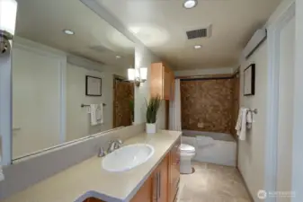 Jack and Jill Bathroom