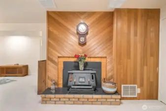 Lower level - fireplace