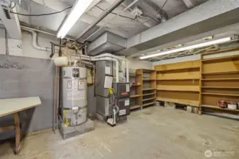 Basement houses a new high-efficiency furnace, hot water tank, and new electrical panel