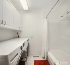 Main floor laundry and bathtub