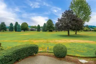 Back Yard Patio to watch the golfer go by.