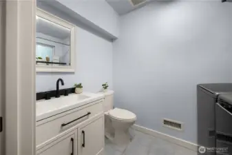 Lower level bathroom