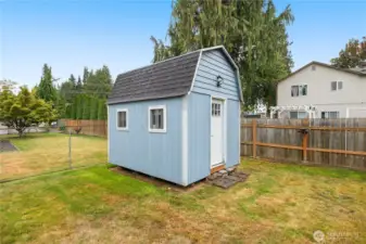 Back yard shed