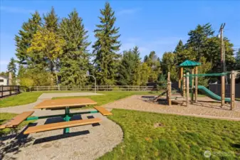 Plenty of Room to Run and Play Outdoors!
