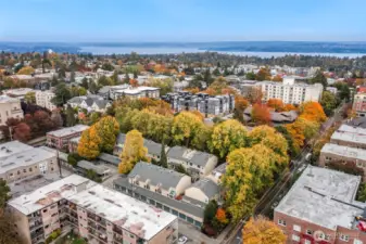 Hidden behind the tree lined streets on the eastern side of Capitol Hill.
