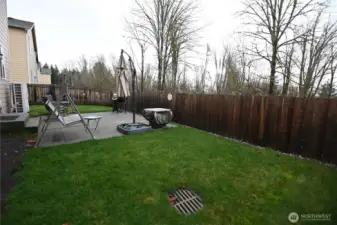 Immaculate green lawn complemented by the patio and side garden area (not pictured).