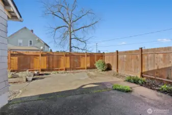 Fenced back yard.