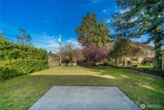 Big back yard
