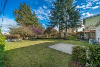 Lots of room to play, garden & entertain!