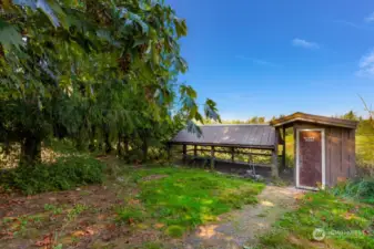 Chicken Coop