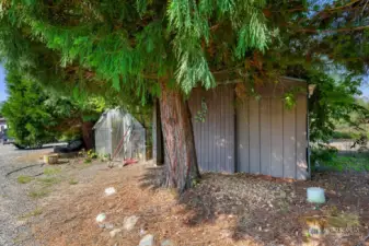 Greenhouse and Shed