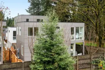 Surrounded by nature, this home seamlessly blends privacy and modern living. Take the architectural charm and greenery from every angle of this inviting residence.