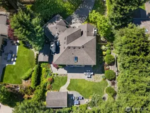 with a bright sunny backyard,