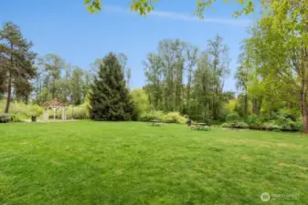 More of the park