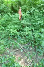 NE marker for the property - x marks the spot.