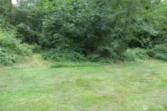 Part of the backyard with a trail leading into your woods.