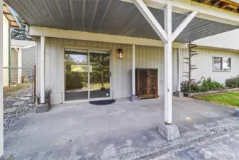 Covered and cozy lower back patio with kitty ladder