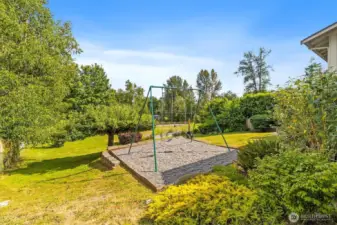 Swing set in the monster backyard