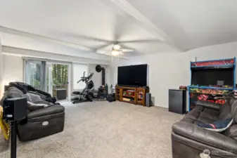 Downstairs living/rec  room.