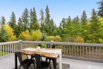 Beautiful view deck for relaxing or entertaining.