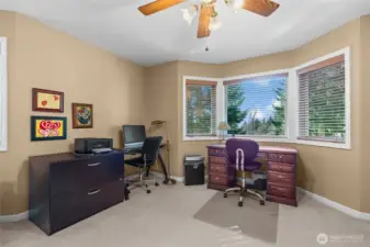 Thanks to these large window nooks, this bonus room drenches itself with natural lighting.