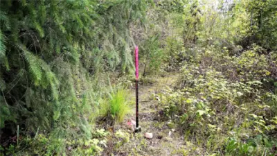 Corners are approximately marked with red bars. They are a foot within the property line to be safe.