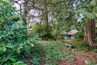 Garden sitting area