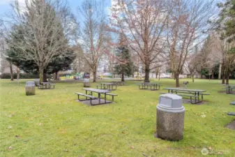 Loyalty park picnic tables.....and...