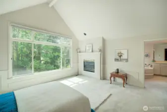 Master suite with 5 PC bath and walk in closet