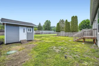 Shed