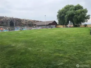 Grassy play area