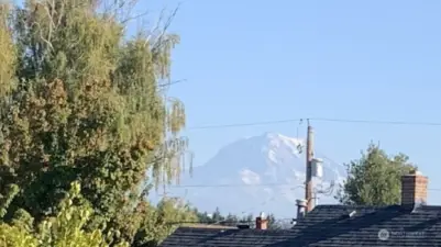 Mt Rainier!