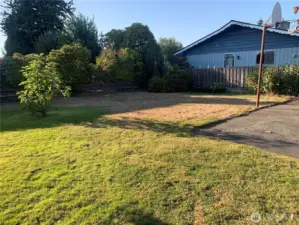 Front Yard