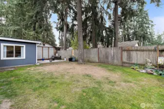 Plenty of green space for pets or play.