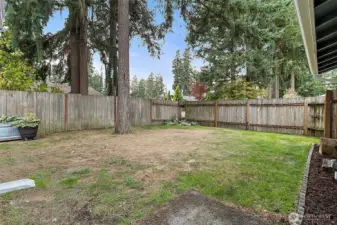 Trees offering shade and privacy.