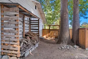 Plenty of firewood for those stormy nights.