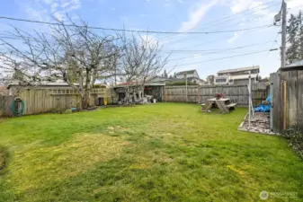 Large, fenced back yard