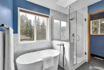 Fully remodeled primary bathroom  in 2025 with Luxurious Italian marble shower, deep soaking tub with Grohe faucets and bidet toilet