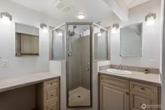 Lower Level Bathroom