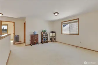 Huge Bonus/Loft Area