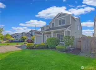 Front yard