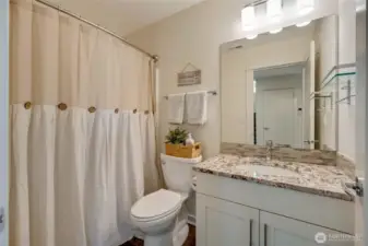 Lower level full bath.