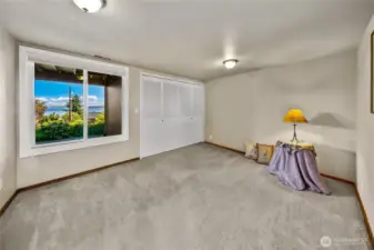 Lower level guest bedroom