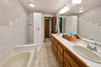 Lower level full guest 5-pc bath